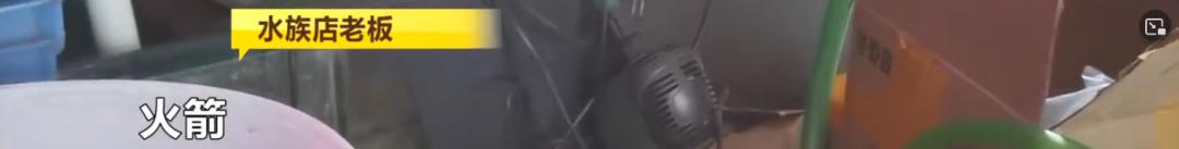 DƬ
